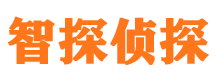 阳东外遇出轨调查取证